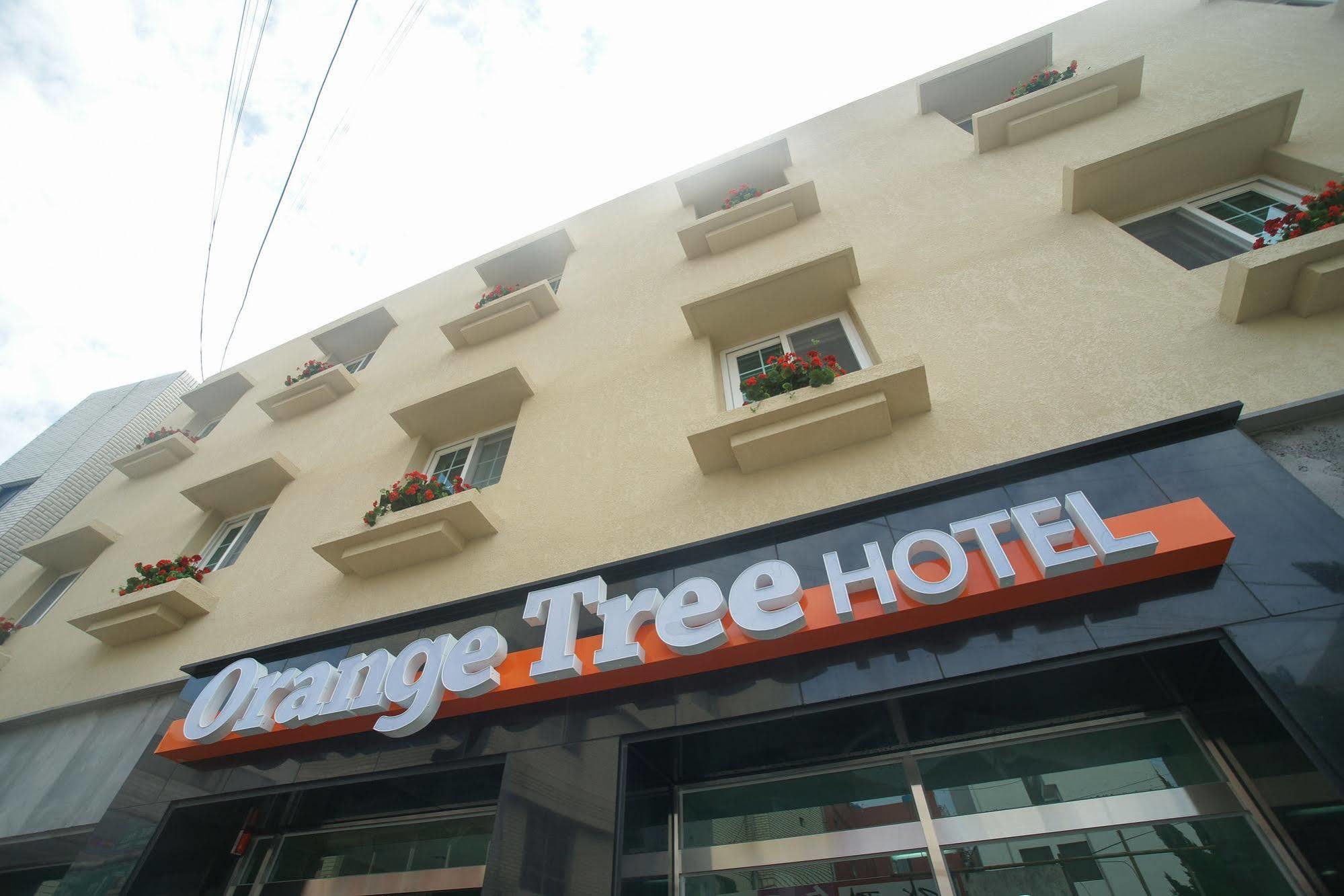 오렌지 트리 호텔 제주 외부 사진